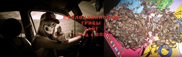 меф Абаза