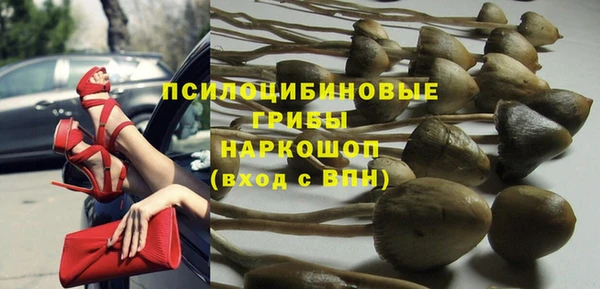 героин Алексин