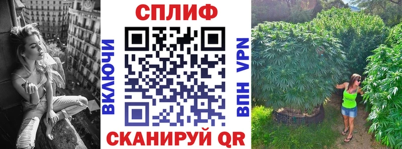 Каннабис AK-47 Яровое